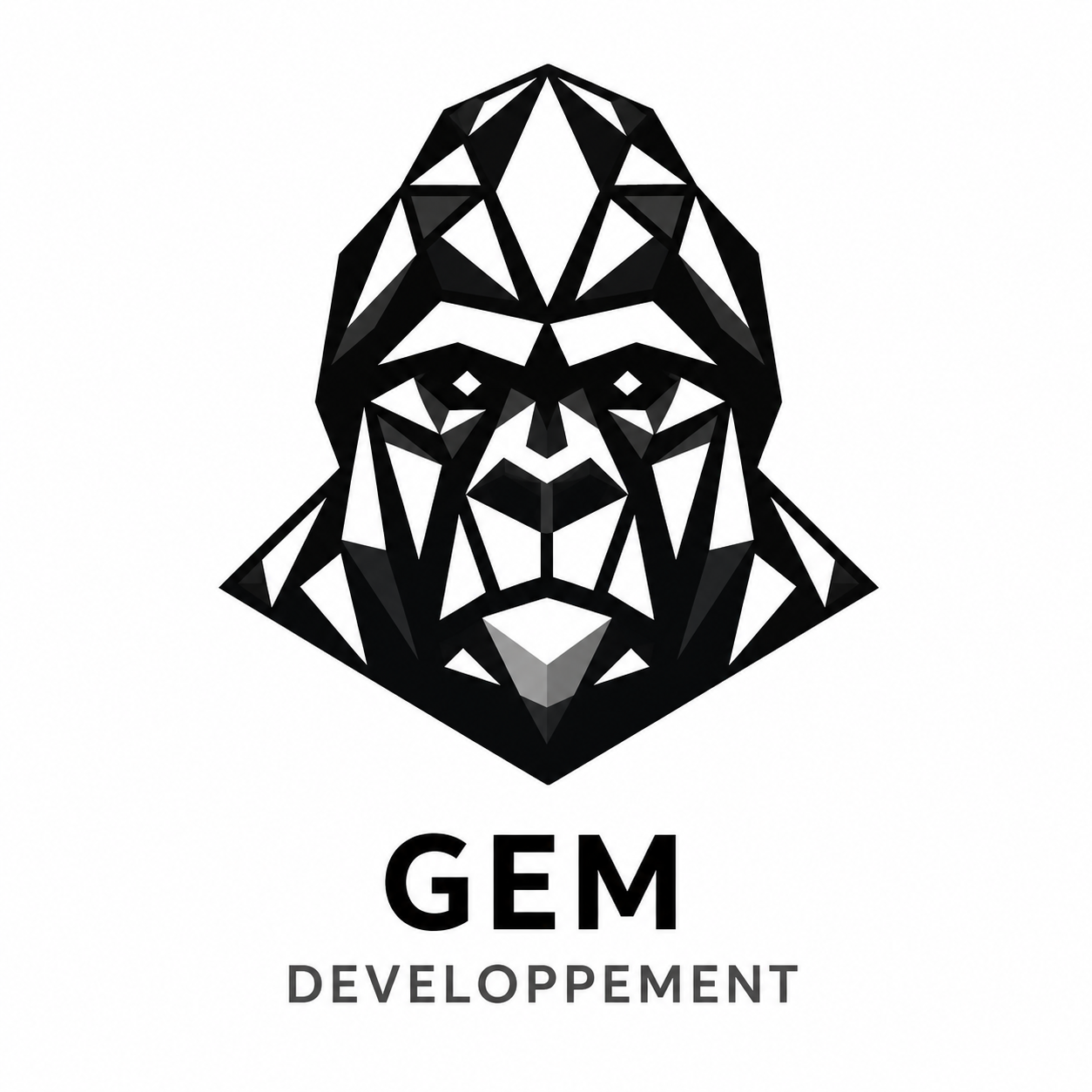 GEM Développement
